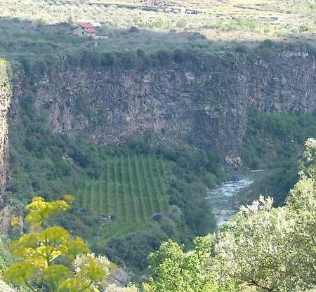 Cuntarati Nature Tourism - Simeto Etna 브론테 외부 사진