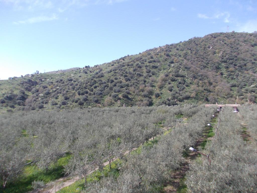 Cuntarati Nature Tourism - Simeto Etna 브론테 외부 사진